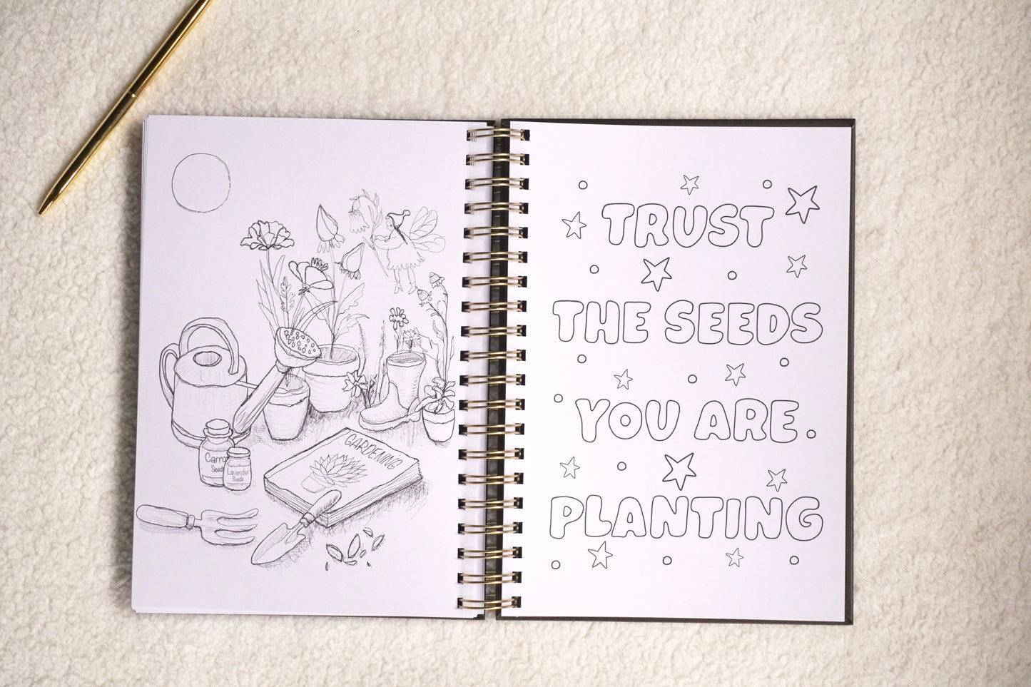 The Seed Bundle