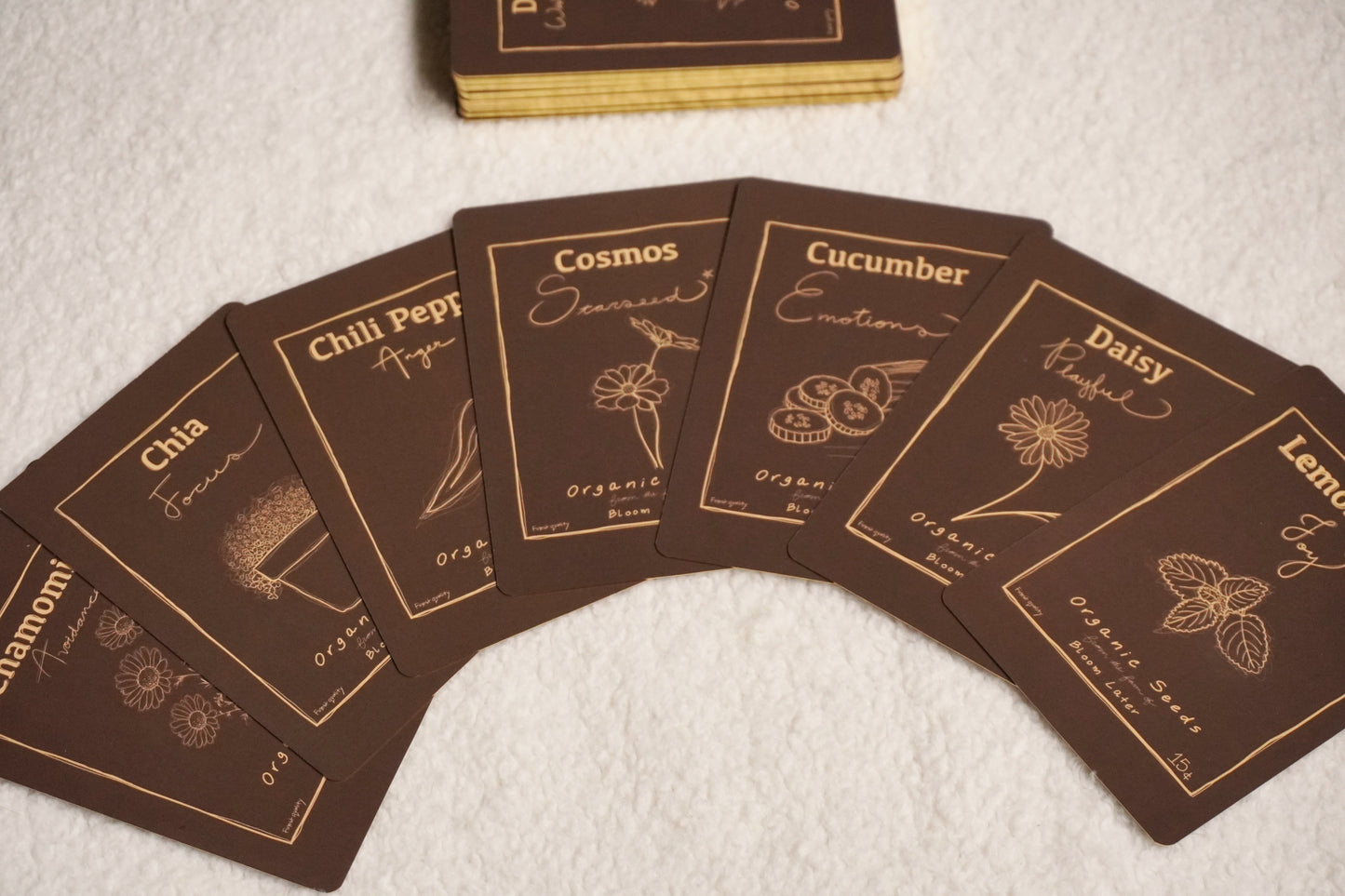 The Seed Bundle